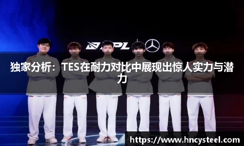 独家分析：TES在耐力对比中展现出惊人实力与潜力
